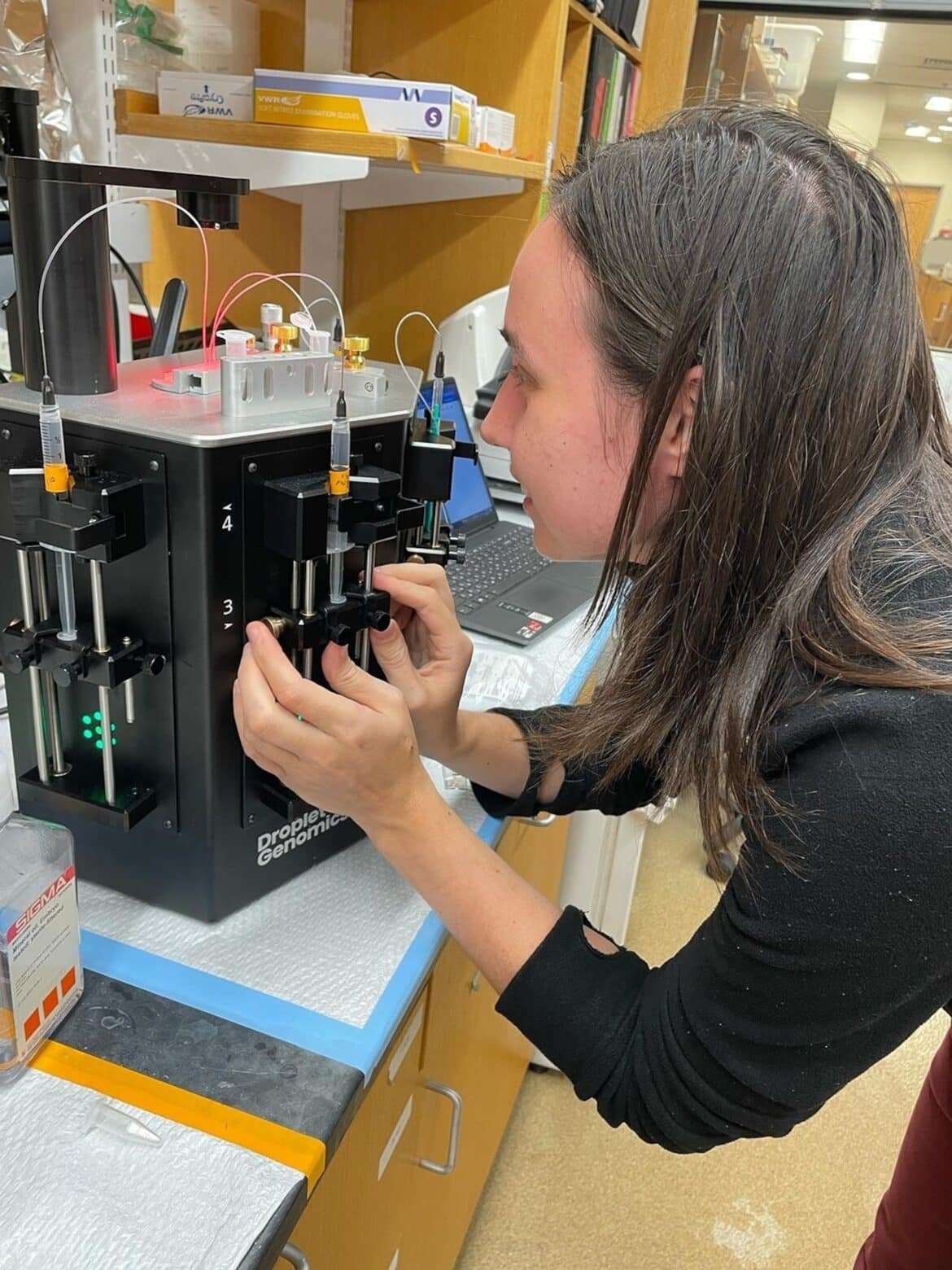 The DOJ accuses Harvard researcher who expressed fears for being returned to Russia