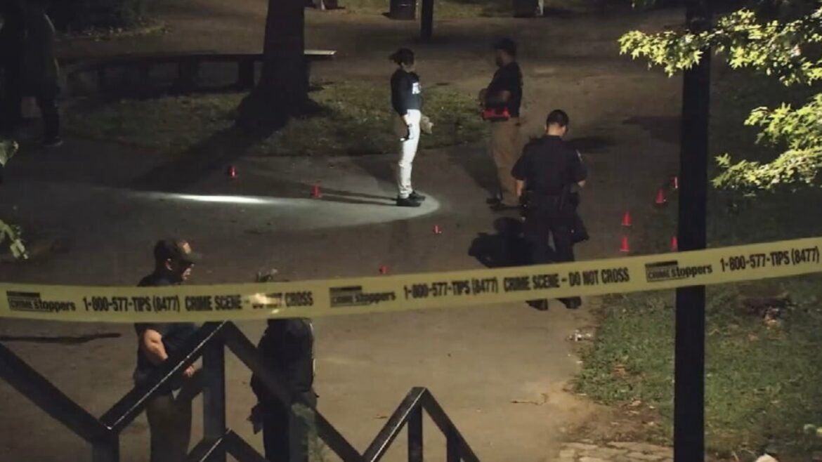 5 shots, 1 fatally, while multiple gunmen open fire in New York City Park: NYPD