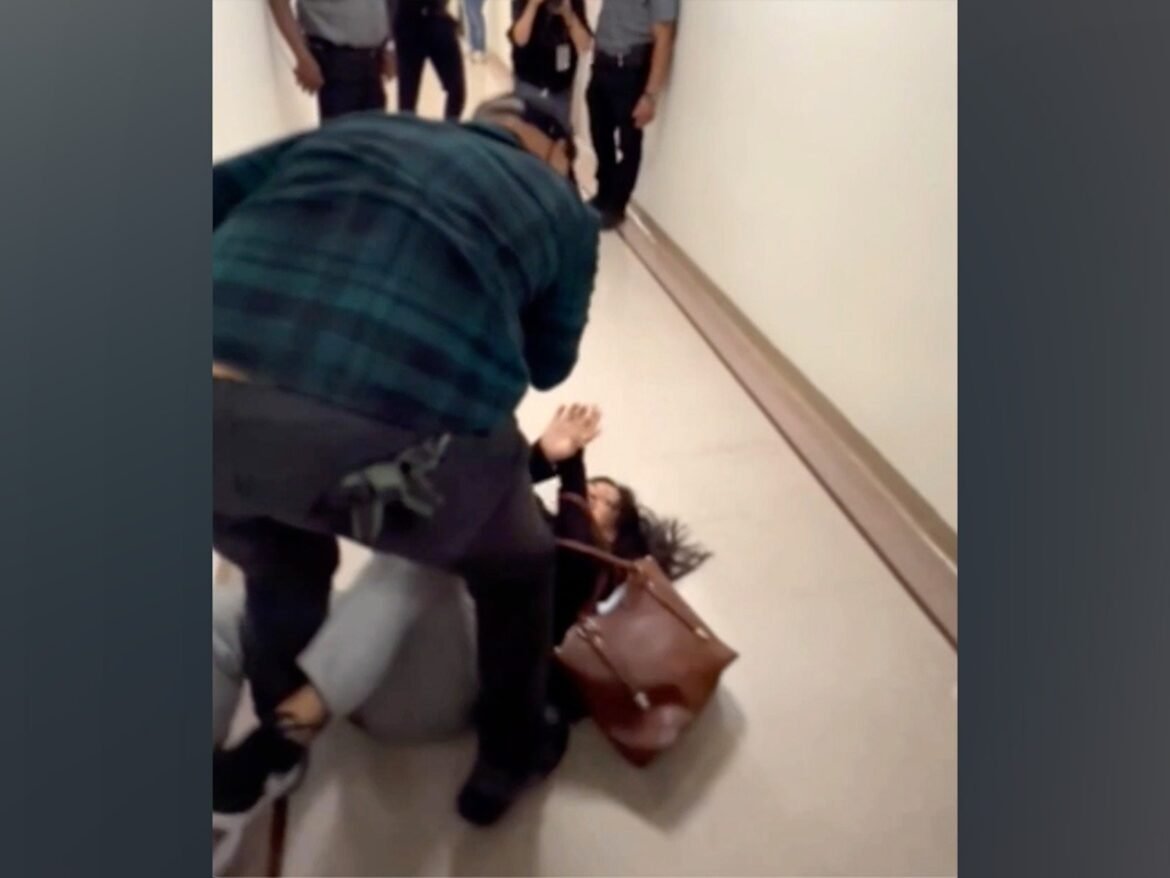 ICE officer 'relieved of current duties' after a violent confrontation captured by the Chamber