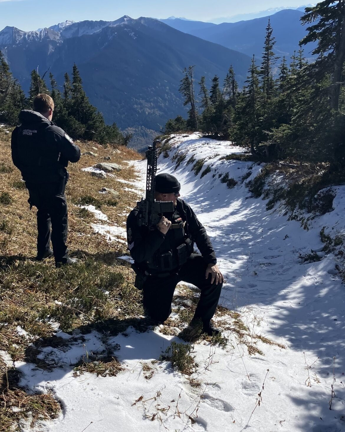 2 hikers hospitalized after encountering grizzly bear with 2 cubs on trail