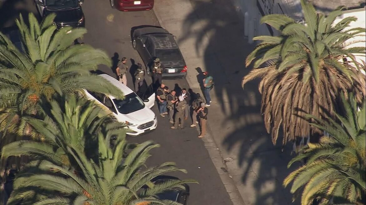 Undocumented Immigrant and Officer Injured in Shooting During Targeted Police Stop