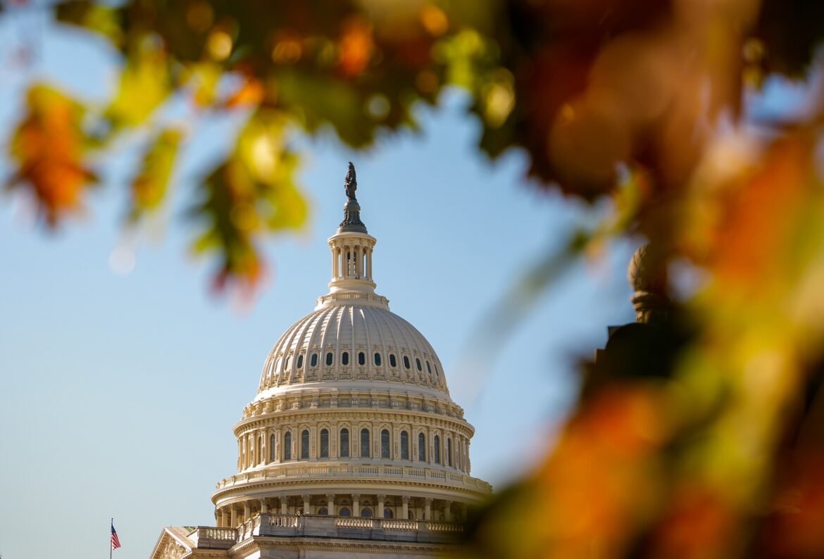 With a year to go until Election Day, Tuesday's results could shape the 2026 midterms